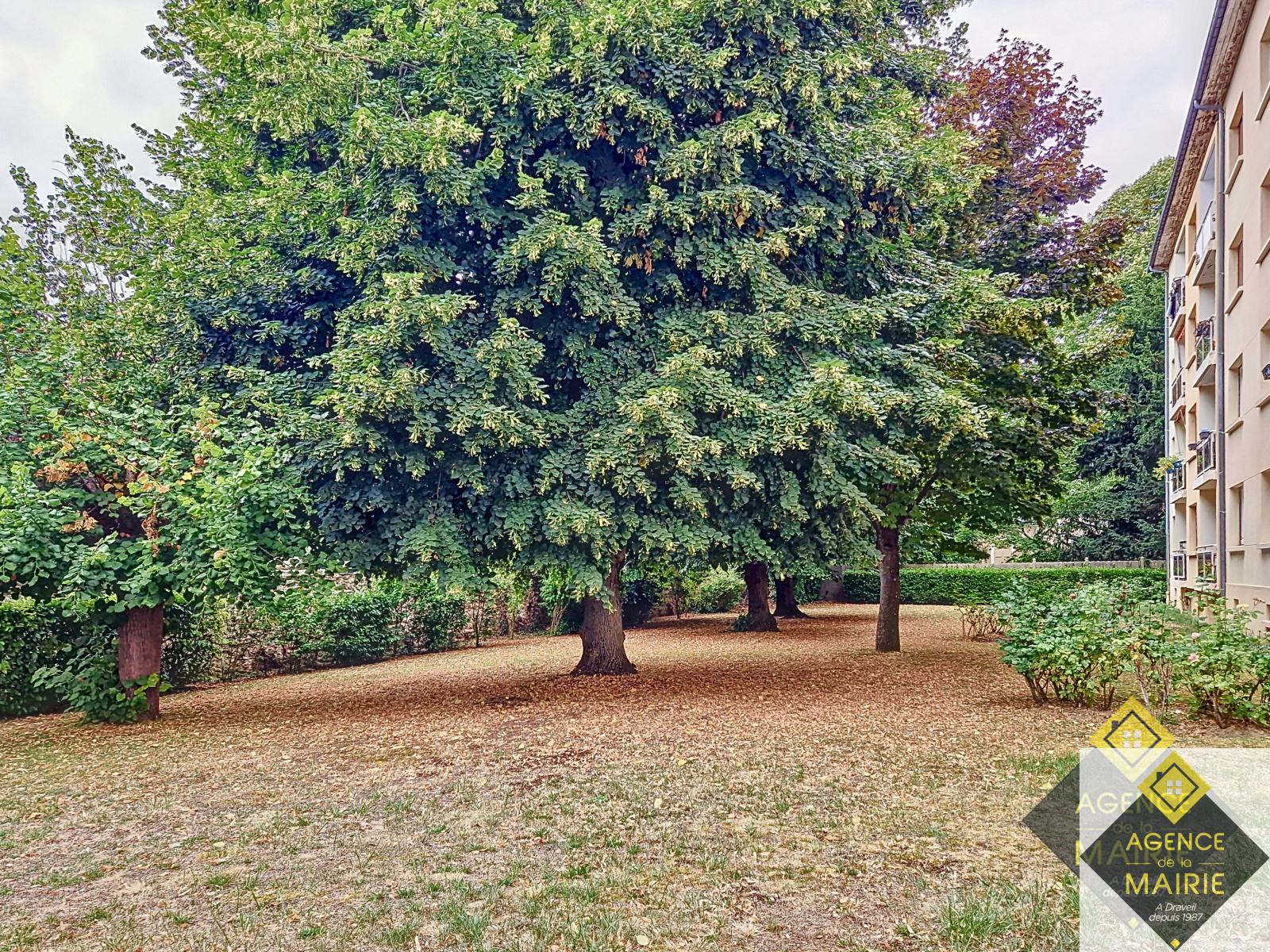 Image_, Appartement, Draveil, ref :3095