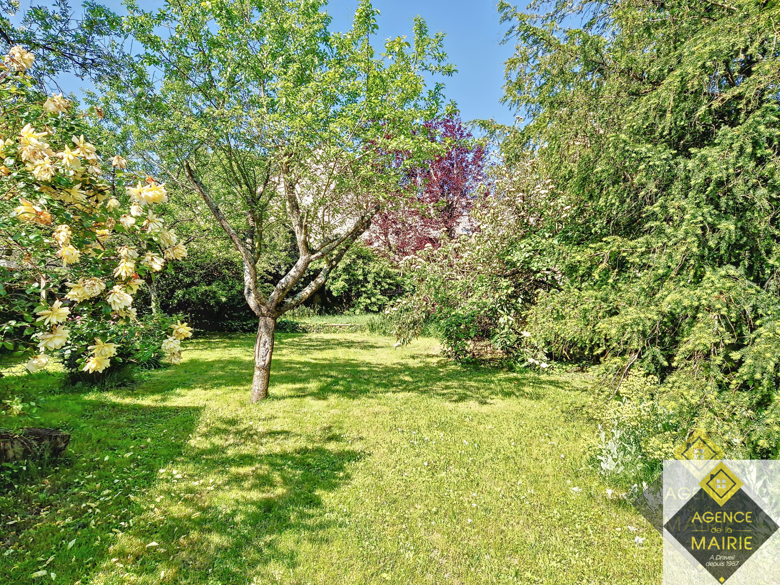 Image_, Maison, Draveil, ref :2873